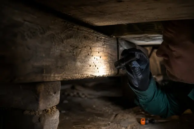 Torchlight on small holes in a timber beam