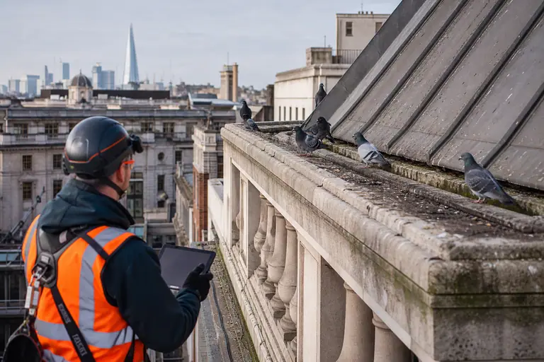 Bird Control inspection detail