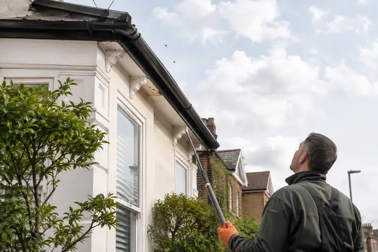 Wasp Control inspection detail