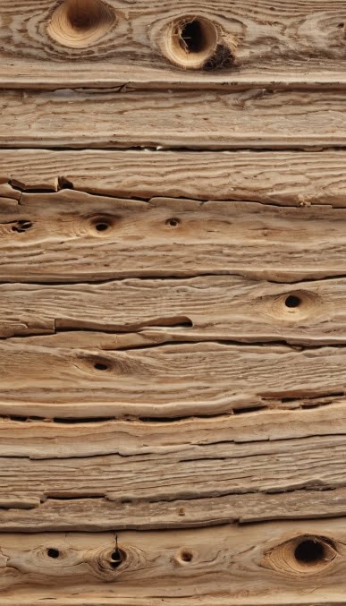 Woodworm – Panther Pest