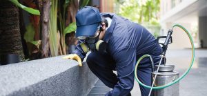 Pest Control Barnet