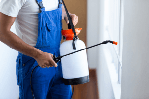 Pest Control Southgate
