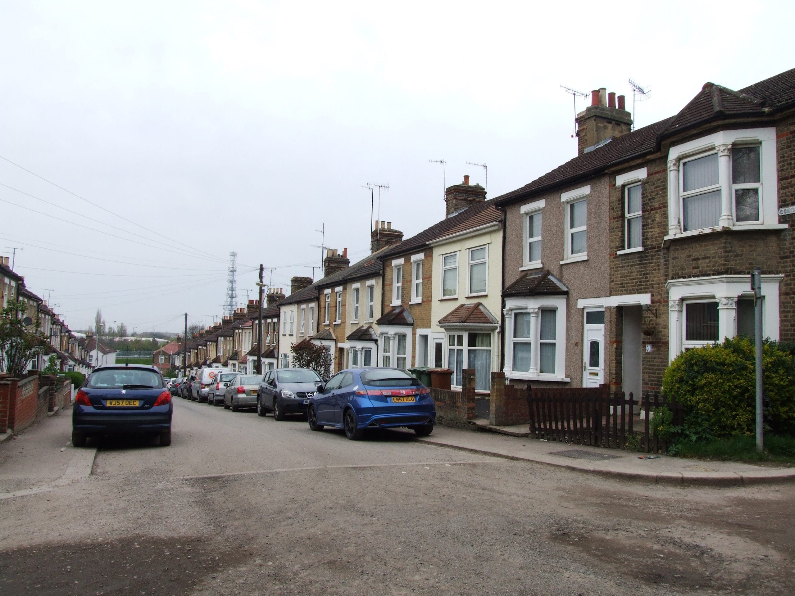 Belvedere pest control