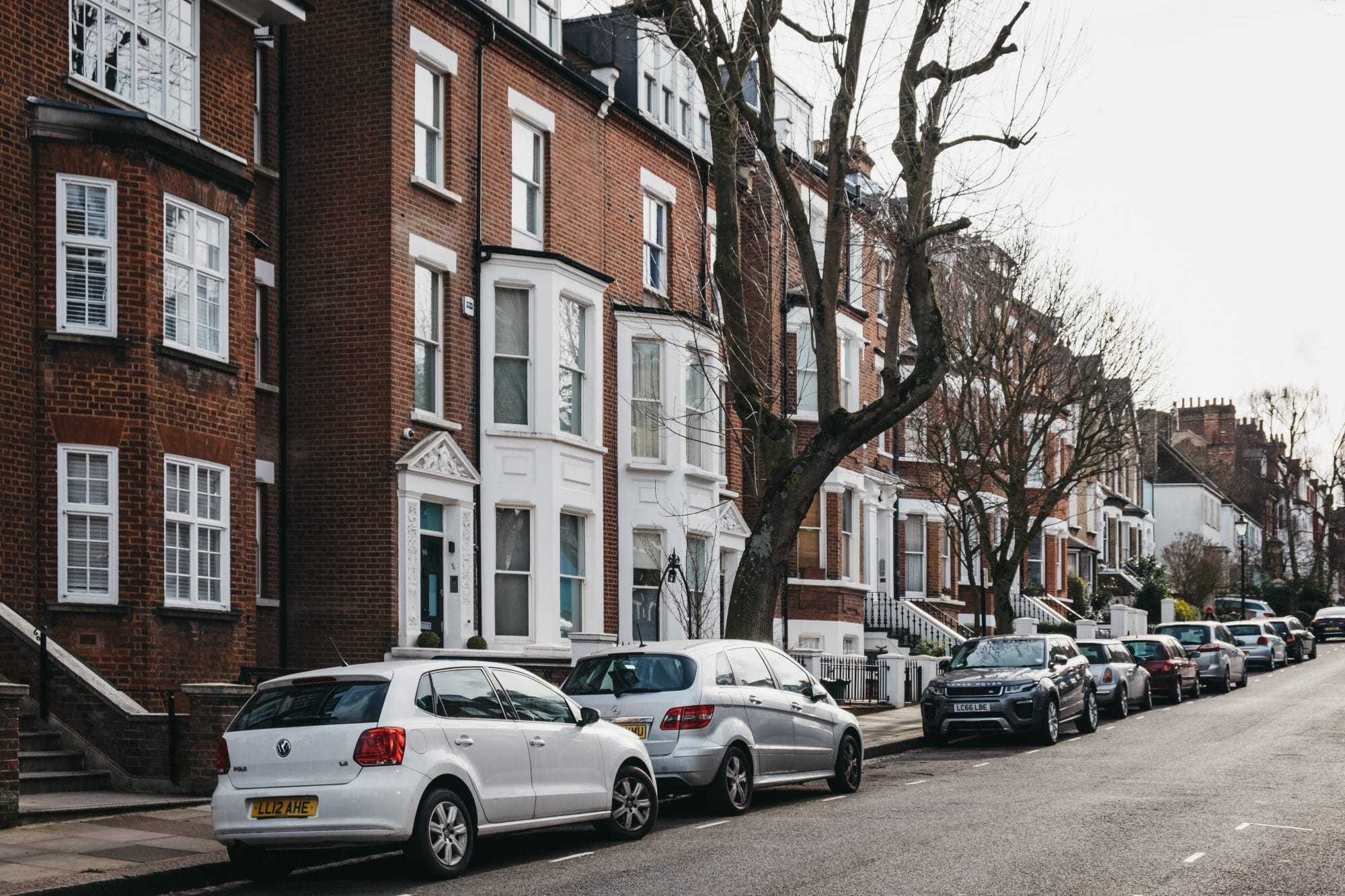 Hampstead pest control