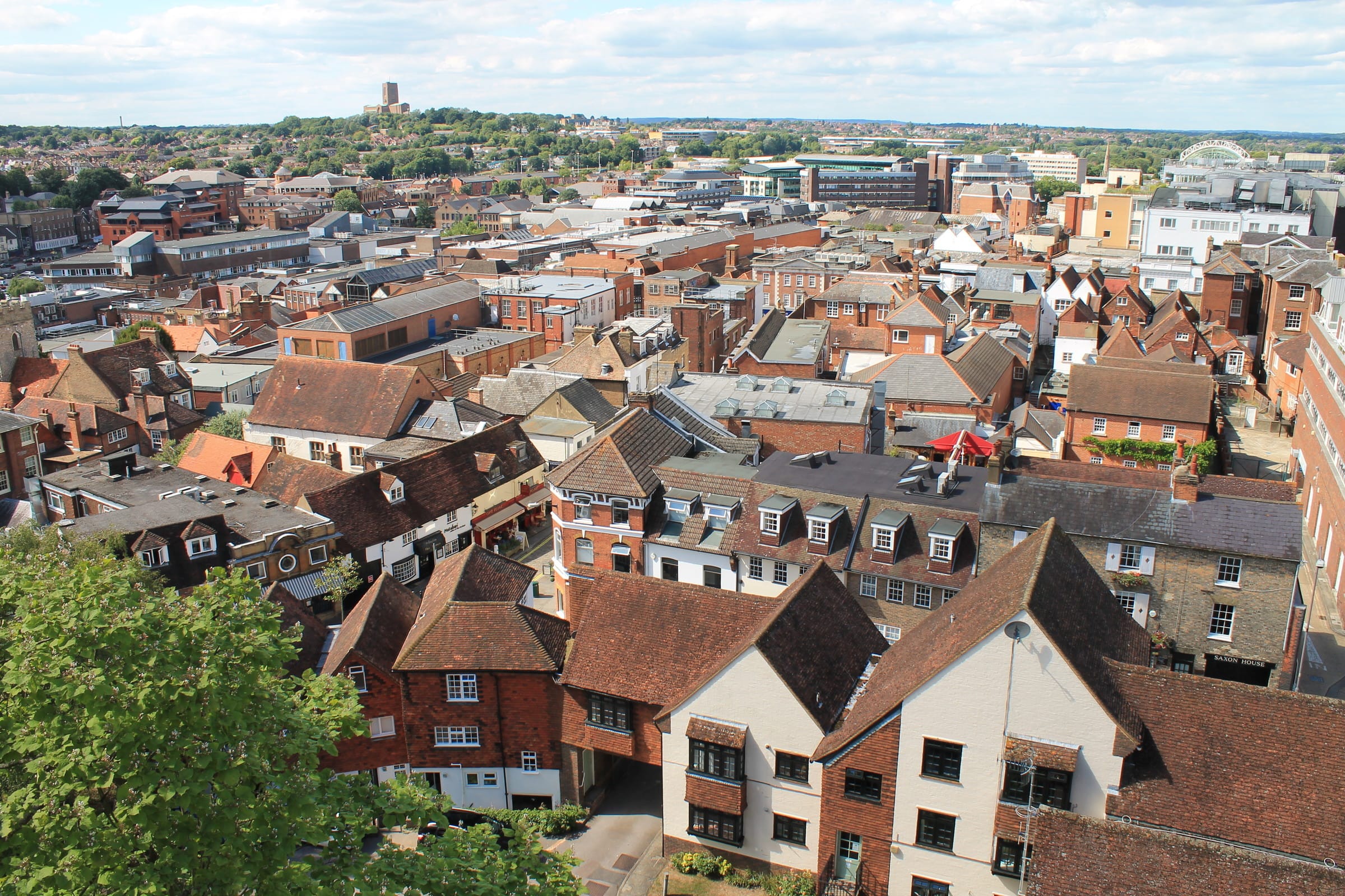 Surrey Quays pest control