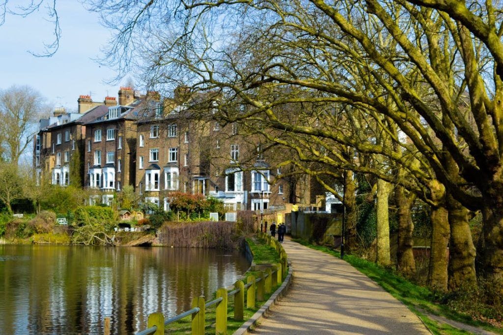 West Heath pest control