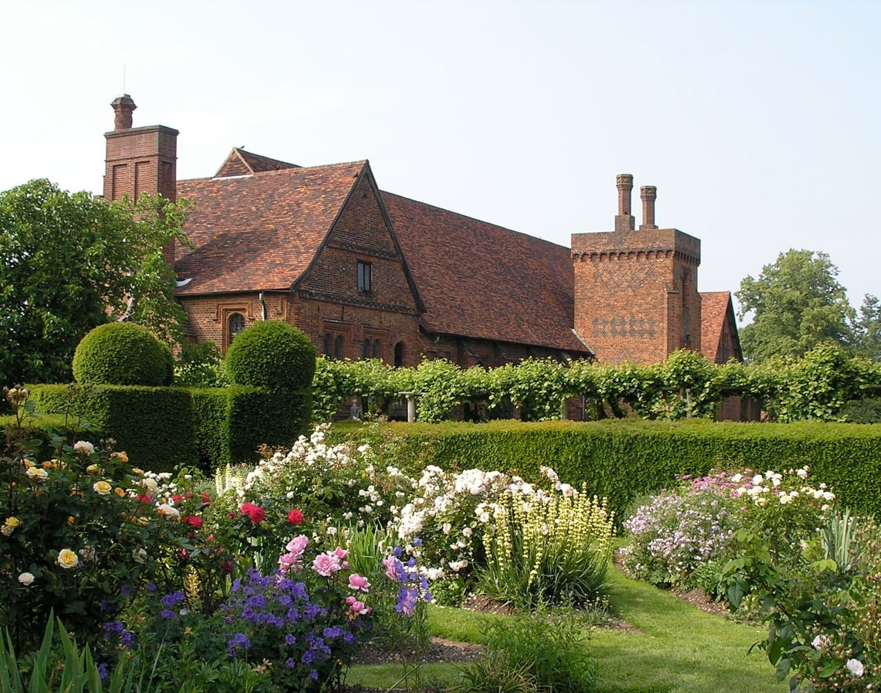 Hatfield pest control