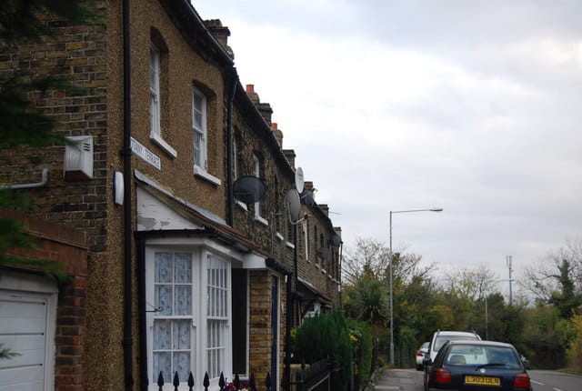 Purfleet pest control