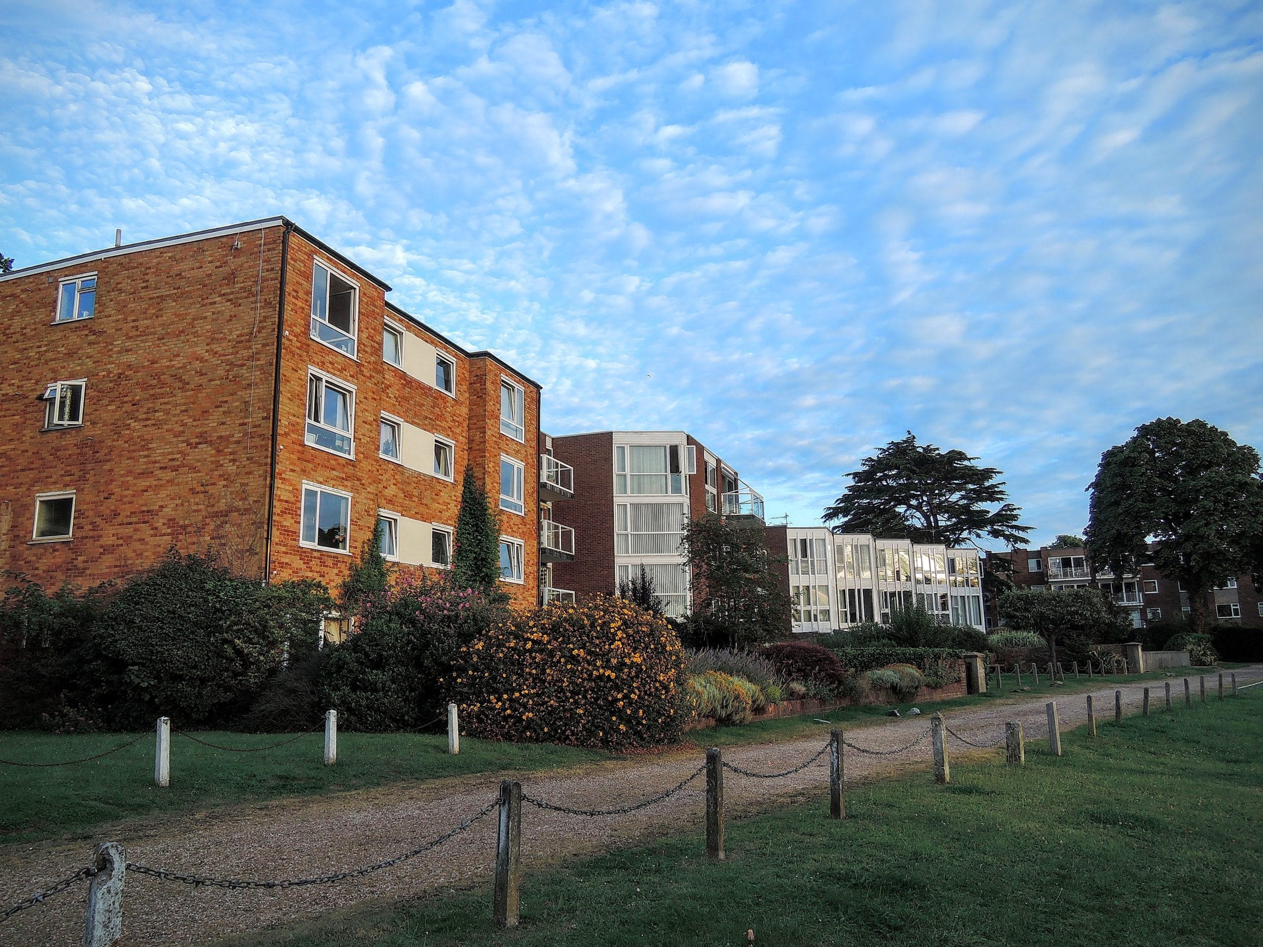 Staines-upon-Thames pest control