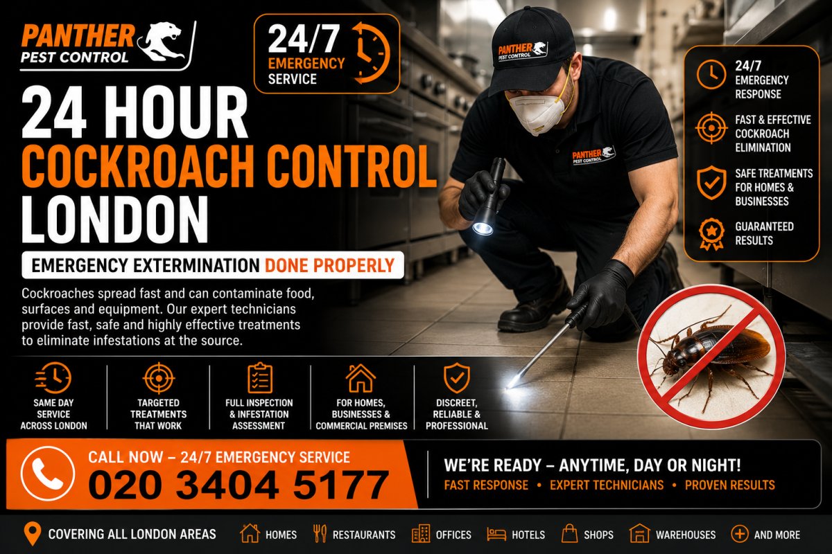 24 Hour Cockroach Control London: Emergency Extermination Done Properly