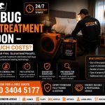Bed Bug Heat Treatment London – How Much Costs ?