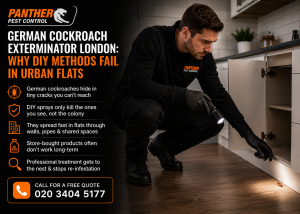 German Cockroach Exterminator London: Why DIY Methods Fail in Urban Flats
