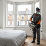 Professional Bed Bug Fogging Service London: Eradication Done Properly