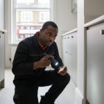 Professional Mice Removal London: Guaranteed Eradication Done Properly