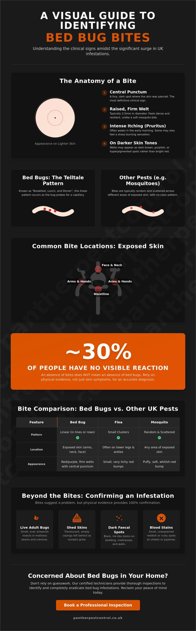 What Do Bed Bug Bites Look Like? A Professional Identification Guide (2026)