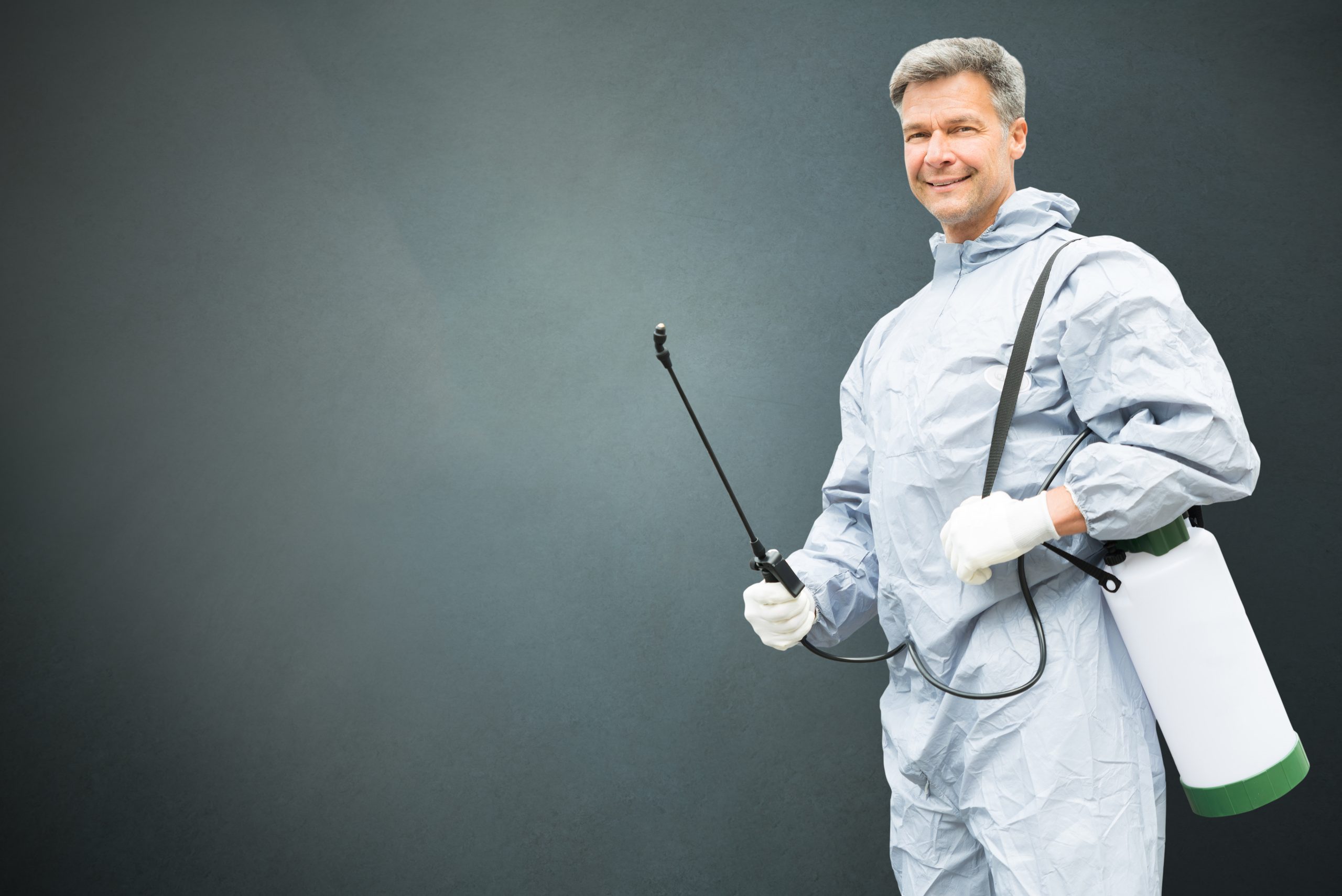 Jakub Novák - Local Surrey Quays Pest Control Specialist