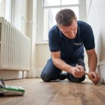 Ants in House: A Professional Guide to London Home Eradication