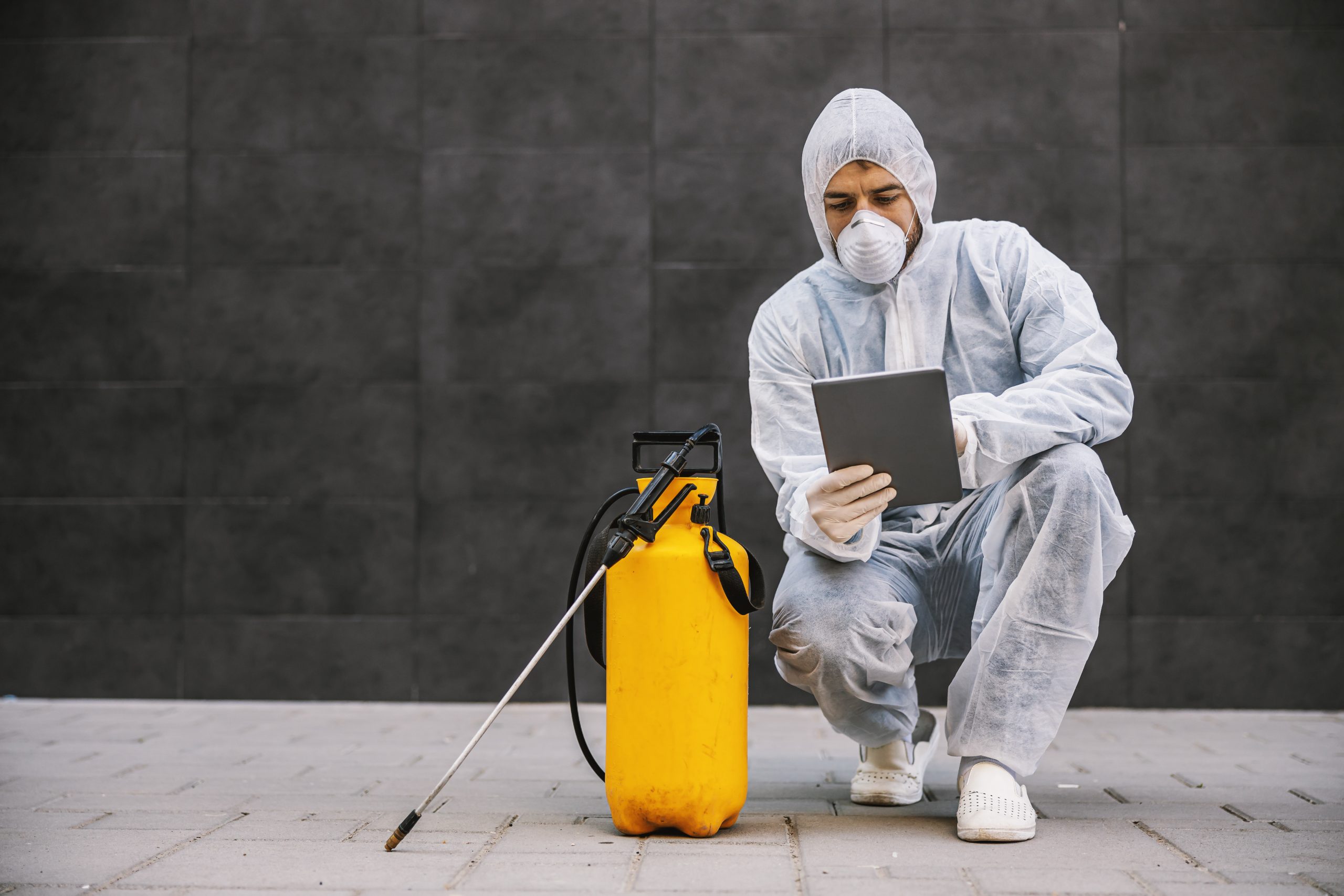 Matthew Collins - Local Calne Pest Control Specialist