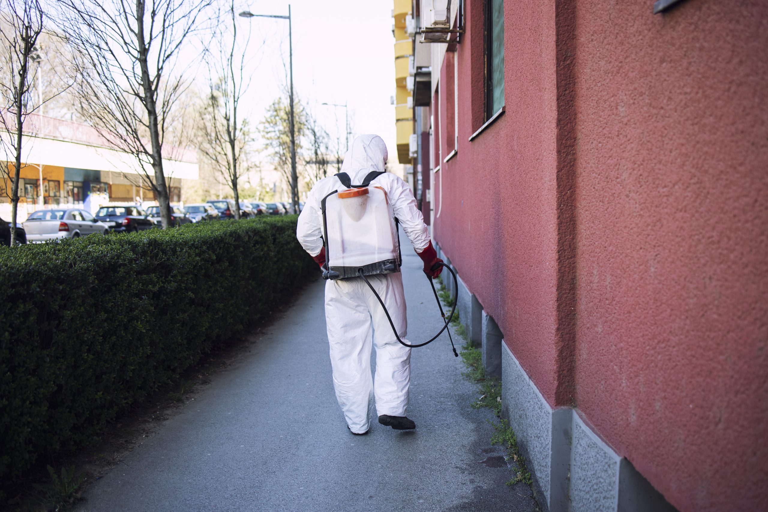 Michael Carter - Local Upper Edmonton Pest Control Technician